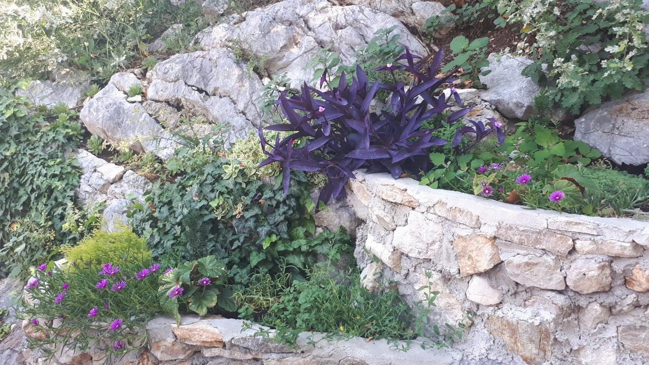 Vila Lucice Petrovac na moru Exterior foto